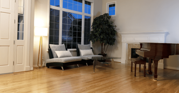 vacuum cleaner for hardwood floors